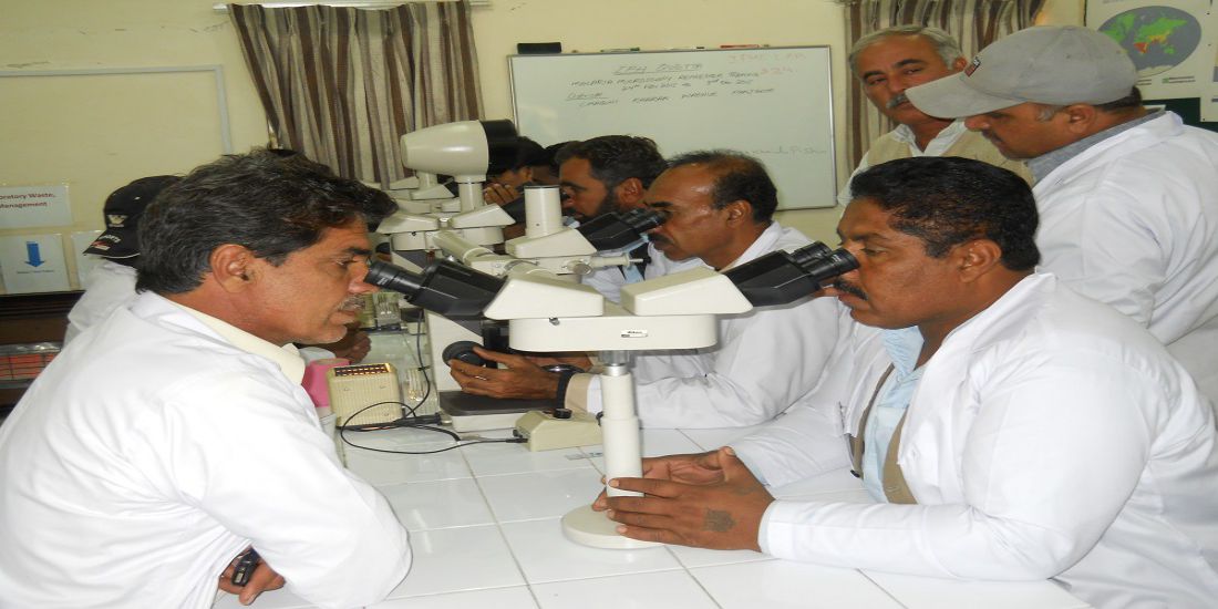 Malaria Control Programme (MCP)